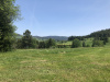 schwarzwald-2019-13