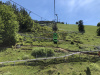 schwarzwald-2019-27