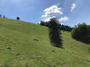 schwarzwald-2019-28