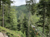 schwarzwald-2021-42