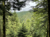 schwarzwald-2021-44