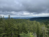 schwarzwald-2021-50