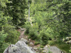 schwarzwald-2021-51