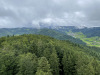 schwarzwald-2021-60