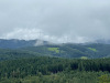 schwarzwald-2021-61
