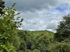 schwarzwald-2021-83