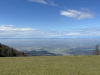 schwarzwald-2023-1-093