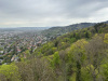 schwarzwald-2023-1-138