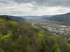 schwarzwald-2023-1-139