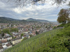 schwarzwald-2023-1-148