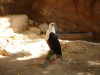 jungle_park-001