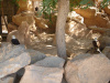 jungle_park-002