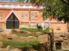 jungle_park-005