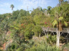 jungle_park-007