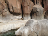 jungle_park-009