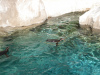 jungle_park-011