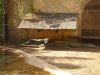 jungle_park-012