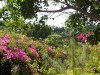 jungle_park-013