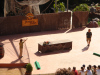 jungle_park-022