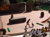 jungle_park-023
