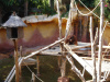 jungle_park-043