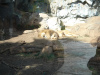 jungle_park-045