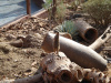 jungle_park-056