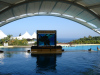 loro_parque-011