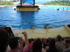 loro_parque-012