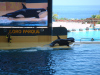 loro_parque-016
