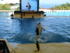 loro_parque-021