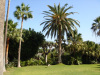 loro_parque-034