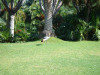 loro_parque-035