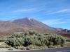 teide-002