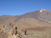 teide-035