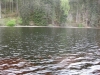 titisee-149