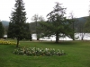 titisee-195