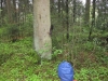 titisee-211
