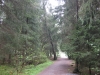 titisee-213