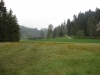 titisee-215