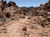 usa-2026_4429