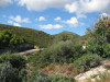 zakynthos-141