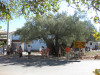 zakynthos-223