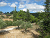 zakynthos-227