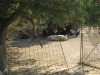 zakynthos-282